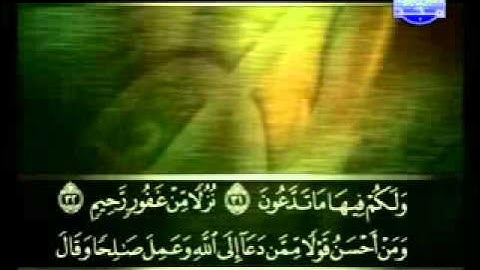 سورة فصلت الشيخ علي الحذيفي