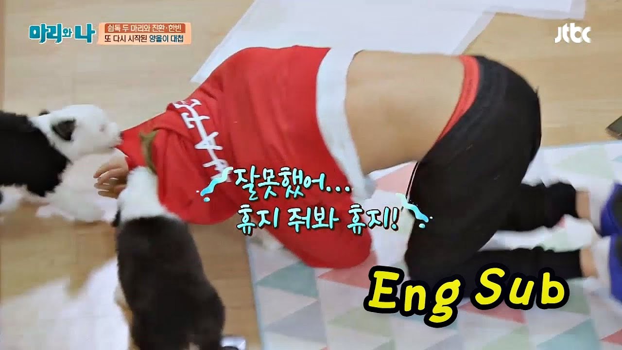 희생양 한빈이, 양몰이에 강제노출! 하얗게 불태웠어..  마리와 나 16회