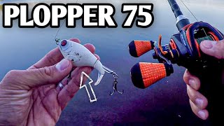 Testing the River2Sea Whopper Plopper 75 - (Easy Topwater for Beginners)