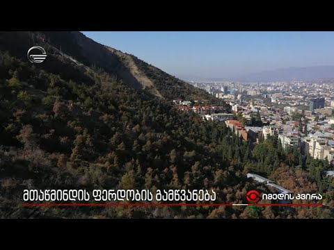 მთაწმინდის ფერდობის გამწვანება