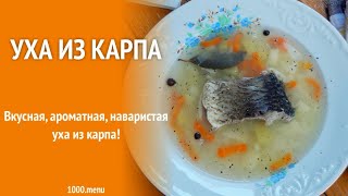 Уха по самому Простому рецепту