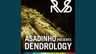 When It Looks Like (Asadinho Main Mix)