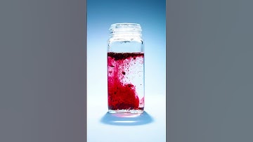 You’re Eating Bugs Every Day Without Knowing! 🐞😱 | The Truth About Carmine!