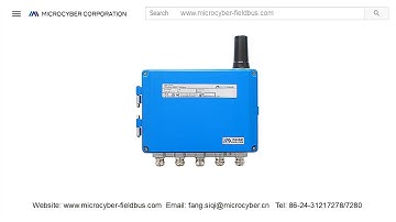 Microcyber Corporation--G1100 WirelessHART Gateway--www.microcyber-fieldbus.com