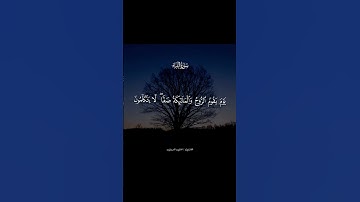 سورة النباء #دويتو #duet #قرآن
