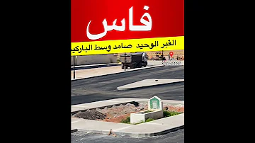 من هو صاحب هذا القبر الوحيد هنا موسيقى Dear Autumn عازف Iksonmusic 