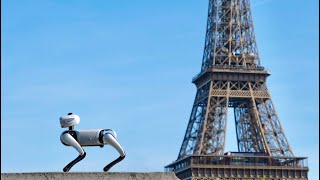 My robotic buddy Babo – everyone in France loves it!