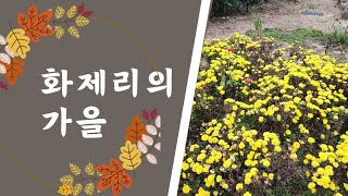 화제리의 가을