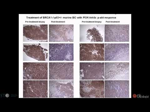 Video: Phosphatidylinositol-3-Kinase (PI3K) -Inhibitoren Als Krebstherapeutika