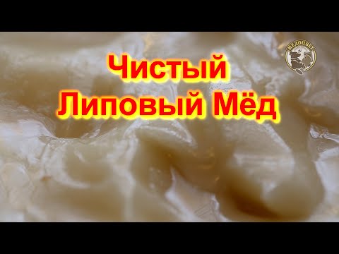 Мёд победитель Чистейший Липовый Мёд из Республики Татарстан