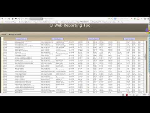CI Web Reporting