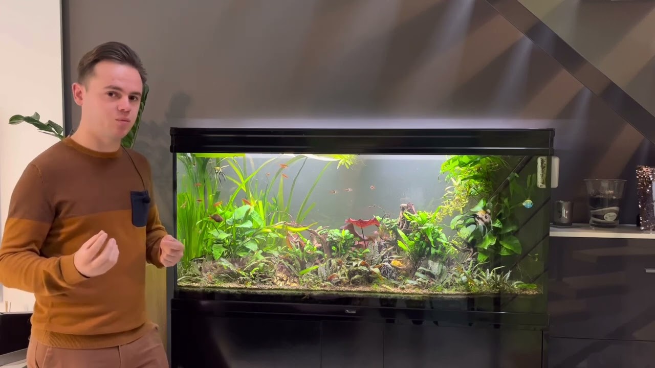 Aquarium d’eau douce: changement d’eau!