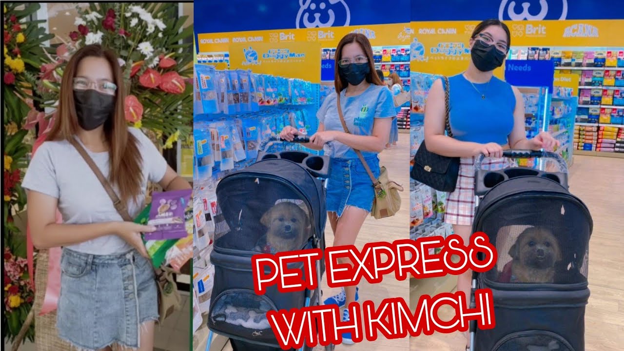 PET EXPRESS SM CLARK petlovers doglovers YouTube