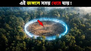 ইউরোপের সবচেয়ে ভয়ঙ্কর রহস্যময় বন! যেখানে সময় হঠাৎ উধাও হয়ে যায় ||  Hoia Baciu Forest Mystery