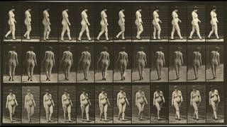 Animal Locomotion: Plates #21-30 (1884-1887) by Eadweard Muybridge