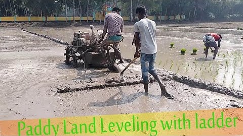 power tiller Level the paddy land with a ladder part 2
