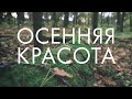 Осенняя красота на мужском подворье! Свято-Елисаветинский монастырь