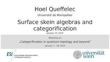 Hoel Queffelec - Surface skein algebras and categorification
