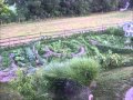 Episode 60 The Food Production Podcast (Part 1 Permaculture Design)