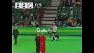 Crufts 1999 - Mary Ray and Lunarlite Lady in Red