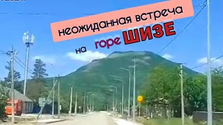 Незабываемые впечатления! Гора Шизе!