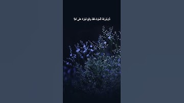 دقيقة من القرآن الكريم بصوت الشيخ ماهر المعيقلي سورة النساء #قرآن #religion #قرآن_كريم #قران