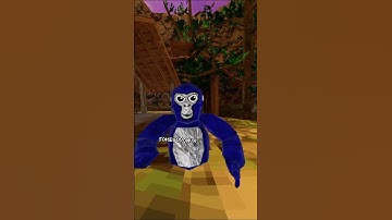 skill issue (original sound made by @raxdflipnote ) #meme #shorts #gorillatag #fyp #fypシ゚viral #idk