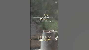 اذاعة القران الكريم #اكسبلور #quran #دويتو #motivation #لايك #duet #راحة_نفسية