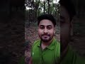 #nature #vlog #jungle #horrorstories #green