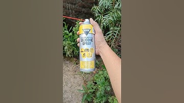 Noisy/stuck power windows & Sunroof? Easy solution - Multipurpose Silicone Spray. #carmaintenance