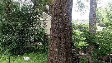 Throwing Knife Throw #3 in 4K