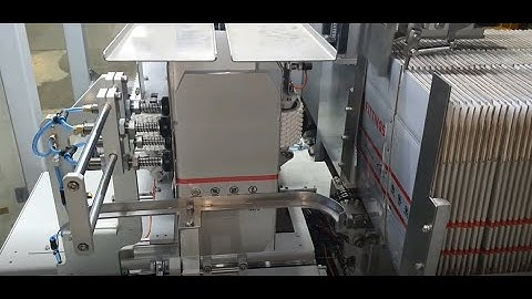 Automatic Case Packer