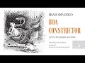 Іван Франко. Boa constrictor | 5