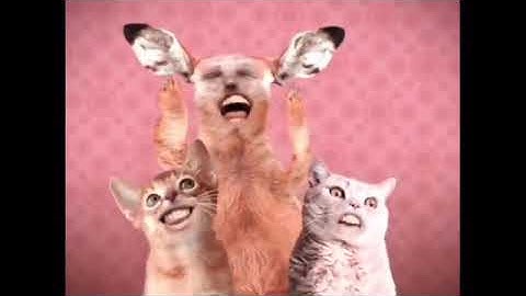 (REUPLOAD) Preview 2 Numa Cats V2