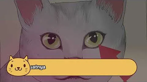 Video 2378871: cat lovers kucing