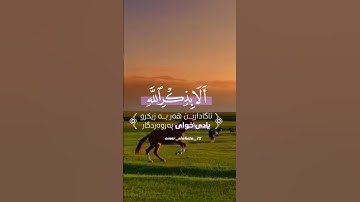 الا بذكر الله تطمئن القلوب #quran #المنشاوي #عبدالباسط_عبدالصمد #قرءان #تلاوات #ريلز