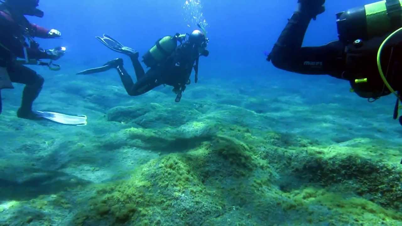 DIVING LA PALMA - YouTube