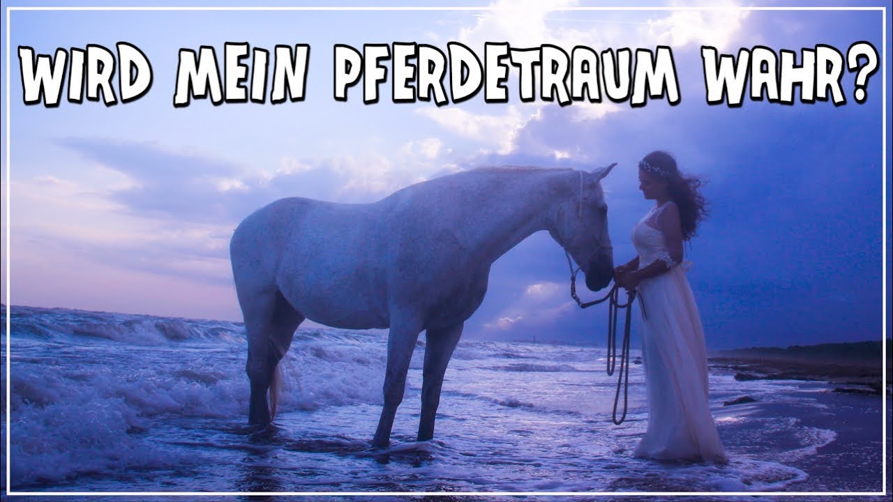 Wird mein Pferdetraum wirklich wahr? ♥ YouTube Wird mein Pferdetraum wirklich wahr? ♥ YouTube