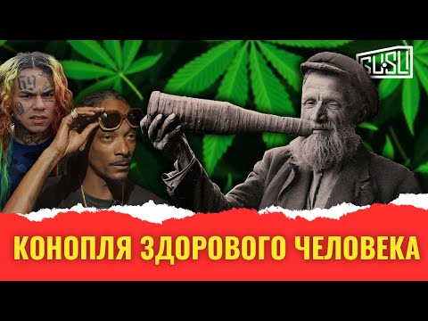 Почему на Руси выращивали коноплю, но не курили её?