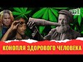 Почему на Руси выращивали коноплю, но не курили её?