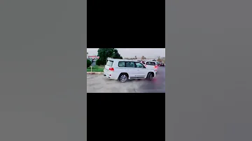 تسجيل دخول ارتال حمايات 