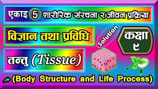 5.1 class 9 science chapter 5 | Body Structure and Life Process Class 9 | 5.1 Tissue |
