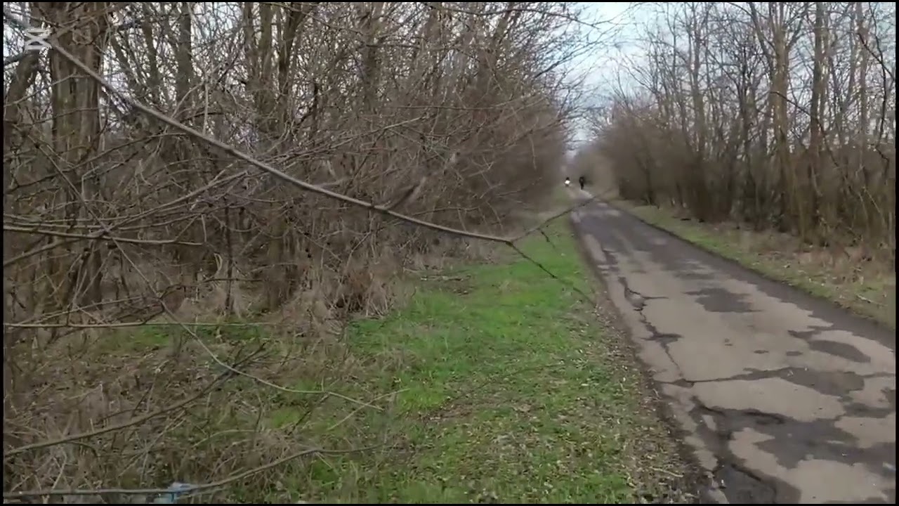 Покупка дома в Сербии самостоятельно без риэлтора и расценки риэлторов. #русскиевсербии #домвсербии 