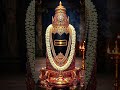 Om namah shivaya ll ఓం నమ శివాయ నమః #ytshorts #telugu #god #nanduri #viral