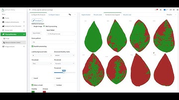 Creating Standard Area Diagrams (SADs) in R with plimanshiny