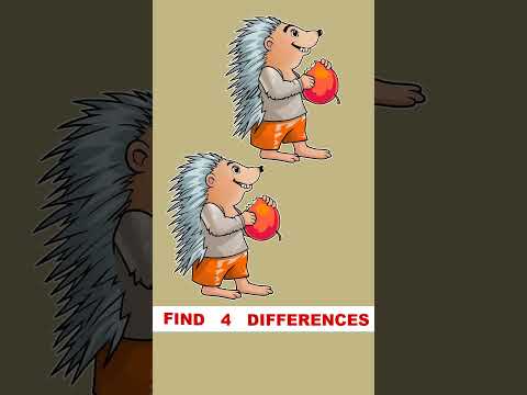 Find four differences,Spot The Difference #1018