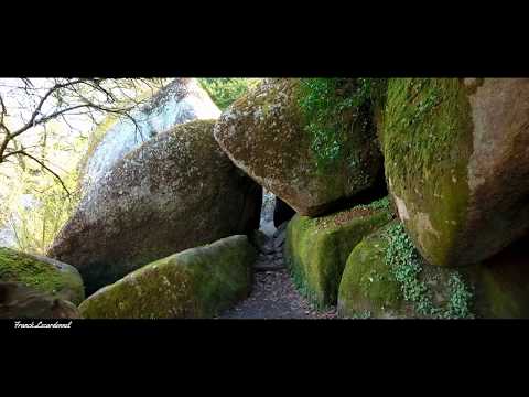 Vidéo: Anomalies De La Forêt Bretonne - Vue Alternative