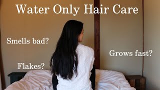 2 Years of NoPoo (No Shampoo) and Why I Quit | Minimalist Hair Care