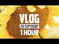 [1 Hour] - Xad - Feel Good (Vlog No Copyright Music)