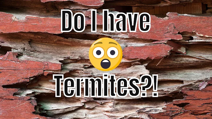 How Do I Know If I Have Termites? 🐜🏡 Pictures and Signs of Termites in Your Home - DayDayNews